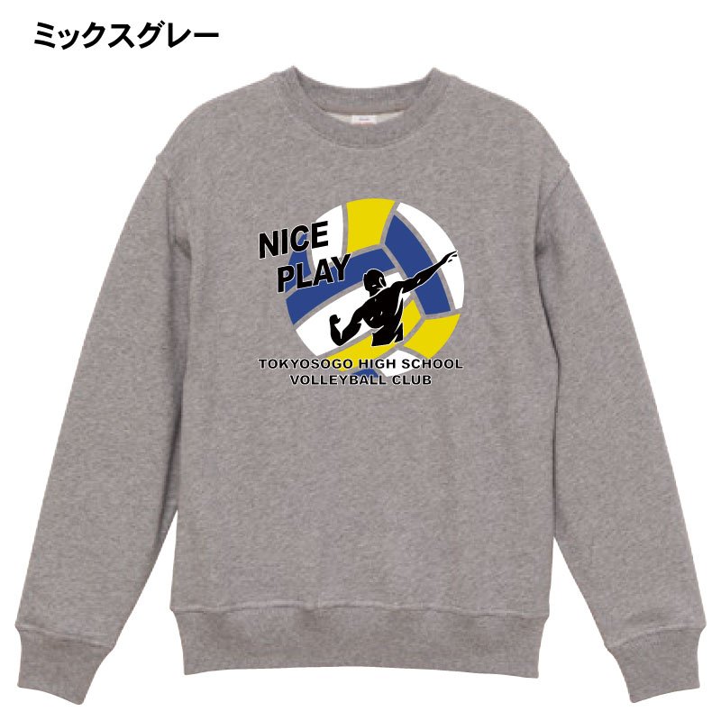 チームヘビーウェイトトレーナー